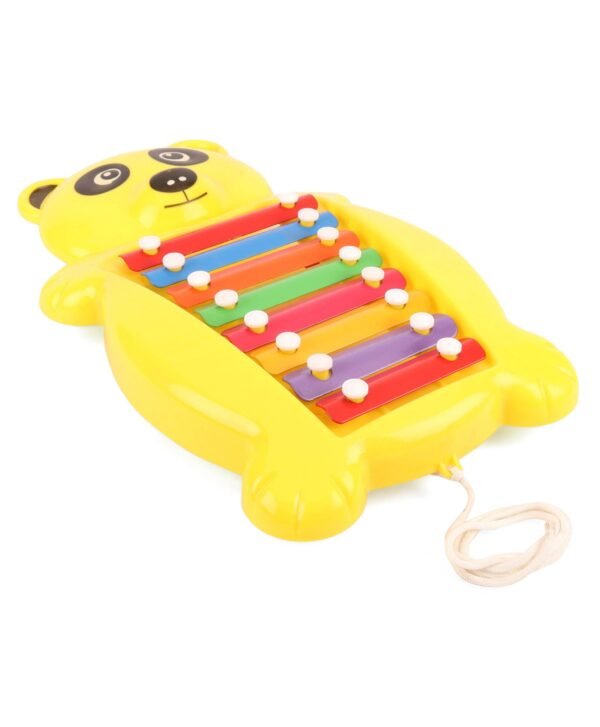 2 in 1 xylophone for kids